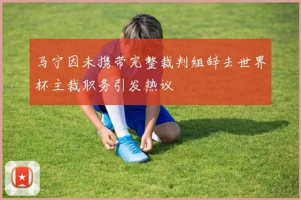 马宁因未携带完整裁判组辞去世界杯主裁职务引发热议