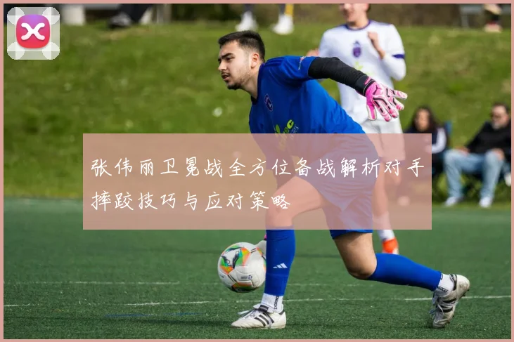 张伟丽卫冕战全方位备战解析对手摔跤技巧与应对策略