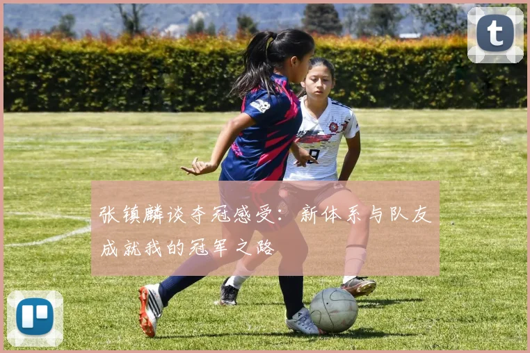 张镇麟谈夺冠感受：新体系与队友成就我的冠军之路